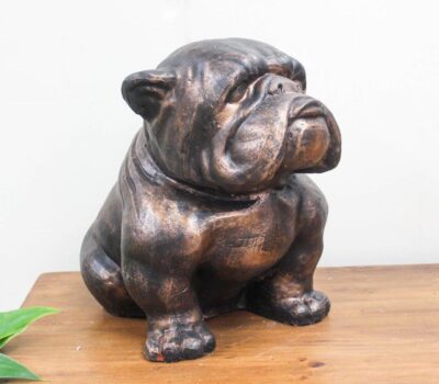 Bulldog- small sitting.