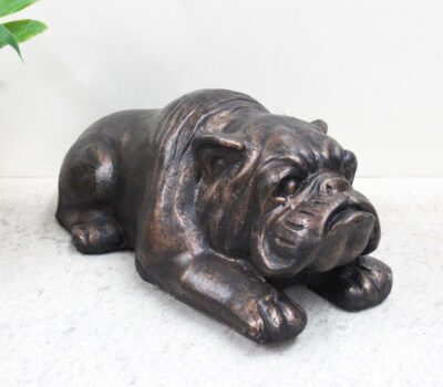 Bulldog-large lying down.