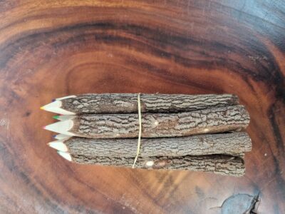 Branch pencils -large