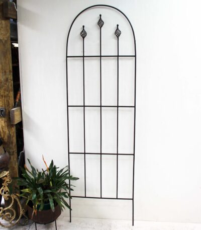 Garden Trellis (A)