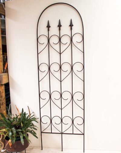 Garden Trellis (C)