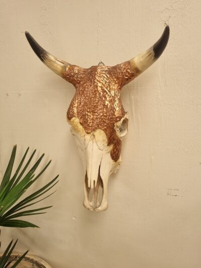 Bullock Skull with copper.