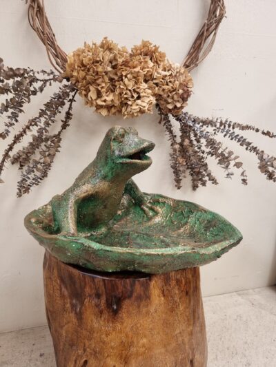 Frog on a leaf Bird Bath.