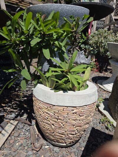 Concrete Slate Pot