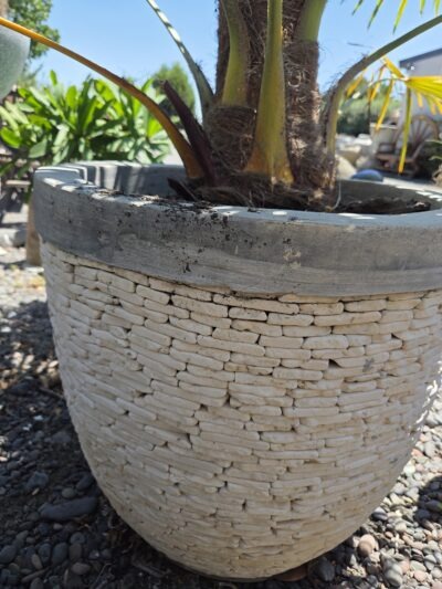 Concrete Slate Pot