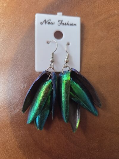Beetle Earrings.