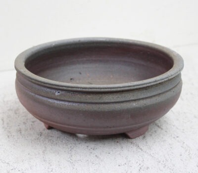 Bonsai Pot-Med