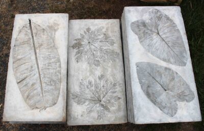 Concrete leaf pavers-rectangle.