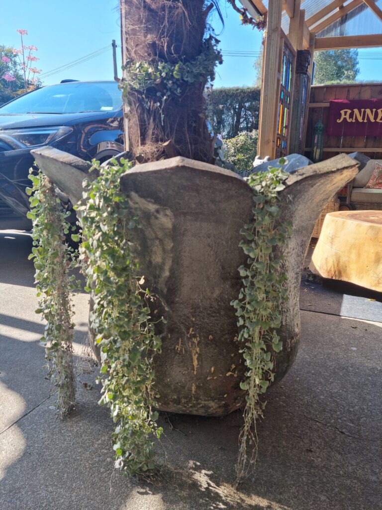 Harmer Imports in the Wild! - Harmer Imports 20211001 160429 - Harmer Imports