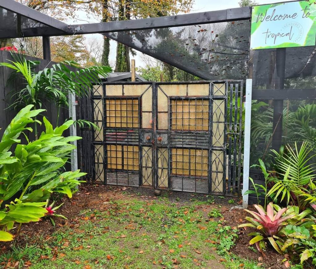 Harmer Imports in the Wild! - Harmer Imports Tropical Treasures - Harmer Imports